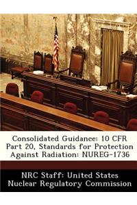Consolidated Guidance