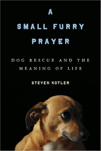 A Small Furry Prayer