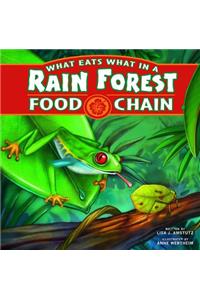 What Eats What in a Rain Forest Food Chain
