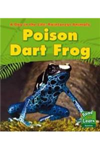 Poison Dart Frog