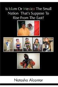 Is Islam or Mexico the Small Nation That's Suppose to Rise from the East?