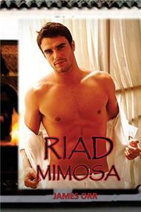 Riad Mimosa