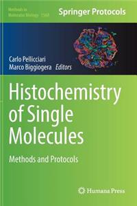 Histochemistry of Single Molecules