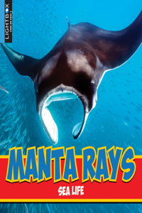 Manta Rays