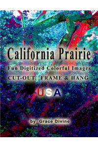California Prairie Fun Digitized Colorful Images Cut-out, Frame & Hang USA