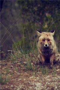 MindBlowing Cut Animal Fox Journal 15