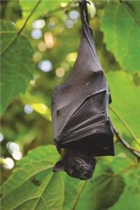 Vampire Bat Journal