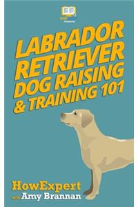 Labrador Retriever Dog Raising & Training 101