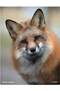 80 Page Fox Sketchbook