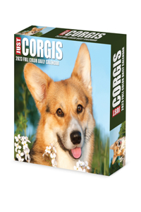 Corgis 2023 Box Calendar