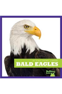 Bald Eagles