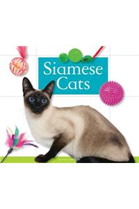 Siamese Cats