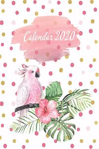 Calendar 2020