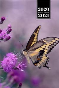 Butterfly Butterflies Insect Week Planner Weekly Organizer Calendar 2020 / 2021 - Purple Flowers