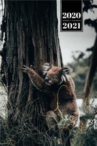 Koala Bear Rainforest Week Planner Weekly Organizer Calendar 2020 / 2021 - Climbing on Tree