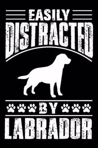 Easily Distracted By Labrador