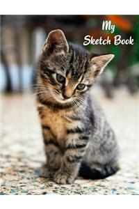 My Sketch Book