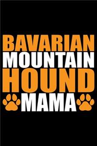 Bavarian Mountain Hound Mama