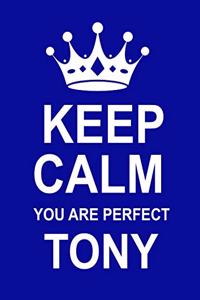 Keep Calm You Are Perfect Tony