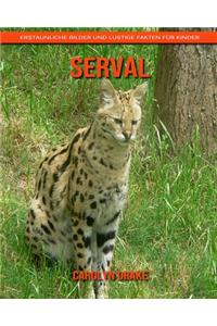 Serval
