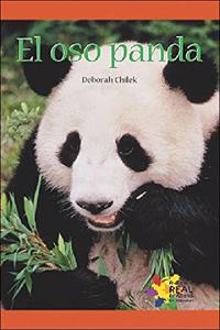 El Oso Panda (the Panda Bear)