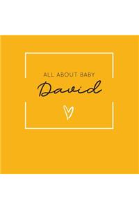 All About Baby David