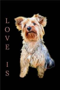 Love is