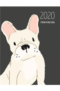 2020 French Bulldog
