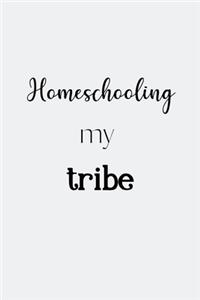 Homeschooling my tribe