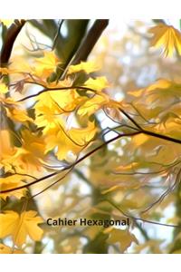 Cahier Hexagonal
