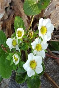 2020 Weekly Planner Springtime Wild Strawberry Flowers 134 Pages
