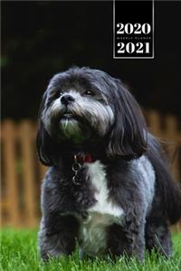 Shih Tzu Dog Calendar Week Planner 2020 / 2021 - Run on the Lawn