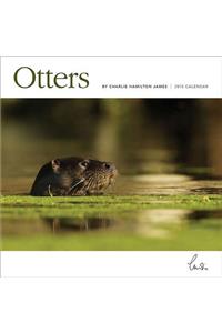 Otters 2015 Wall Calendar
