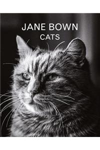 Jane Bown: Cats
