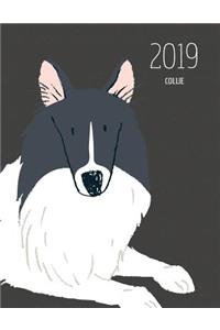 2019 Collie