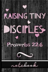 Raising Tiny Disciples Proverbs 22