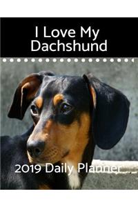 I Love My Dachshund