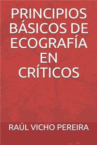 Principios Basicos de Ecografia En Criticos