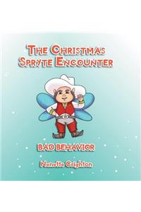 The Christmas Spryte Encounter: Bad Behavior