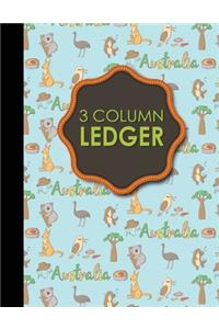 3 Column Ledger