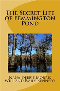 The Secret Life of Pemmington Pond