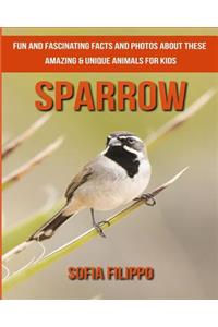 Sparrow