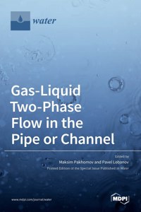 Gas-Liquid Two-Phase Flow in the Pipe or Channel