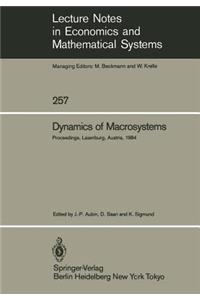 Dynamics of Macrosystems