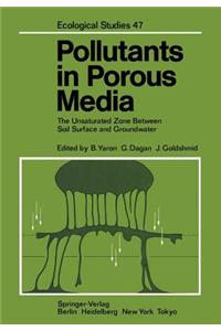 Pollutants in Porous Media