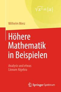 Höhere Mathematik in Beispielen
