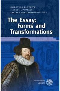 Essay