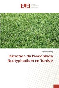 Détection de l'Endophyte Neotyphodium En Tunisie