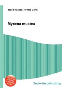 Mycena Mustea