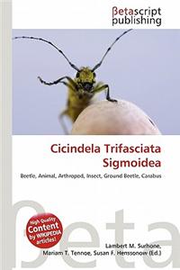 Cicindela Trifasciata Sigmoidea